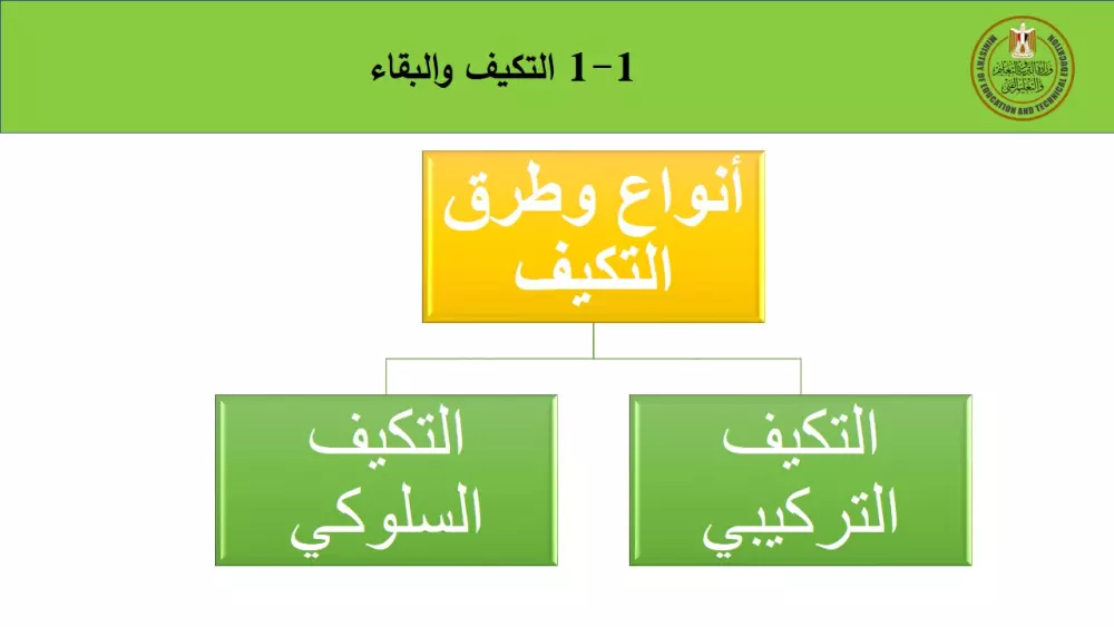 تصميم عروض PowerPoint احترافية تناسب جميع احتياجاتك (باقات متعددة)