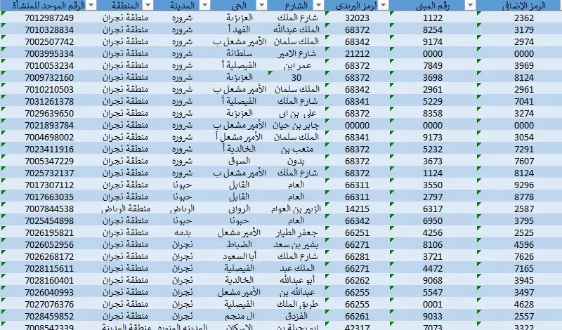 داتا وسطاء عقاريين بالسعودية بملف اكسيل لعام 2025