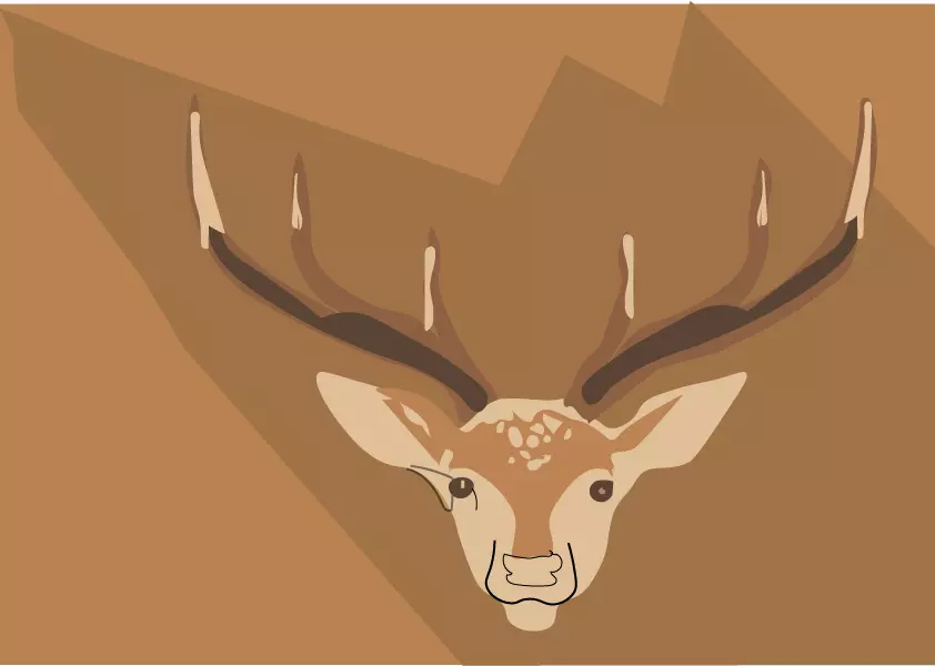 رسم كرتوني vector art