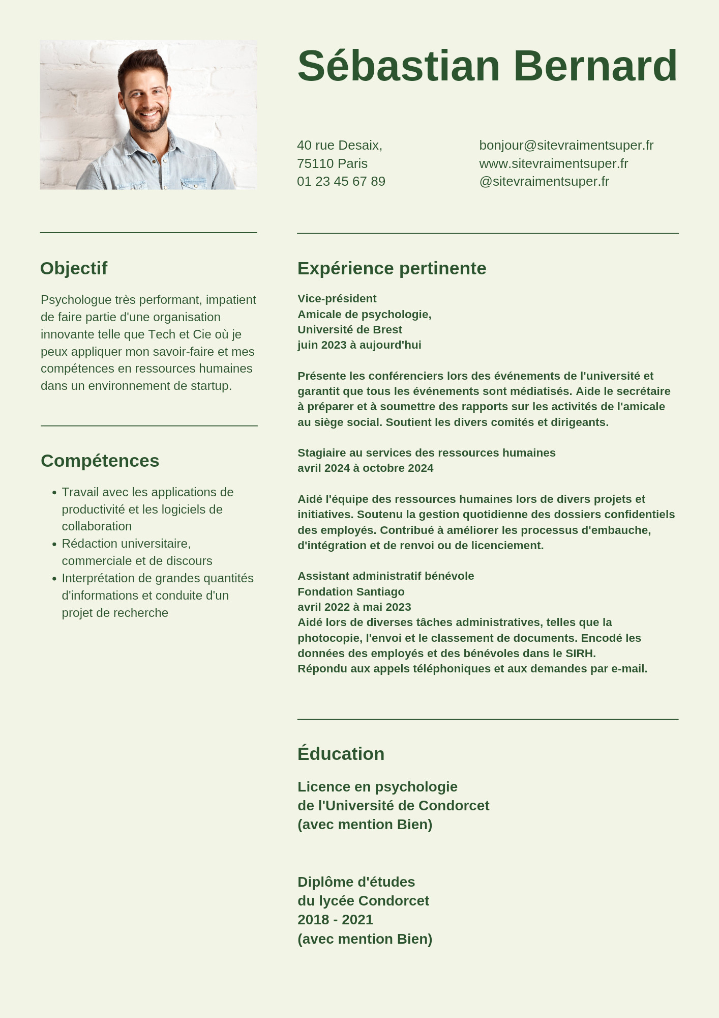 تصميم و تنفيذ CV احترافي باللغتين العربية و الانجليزية