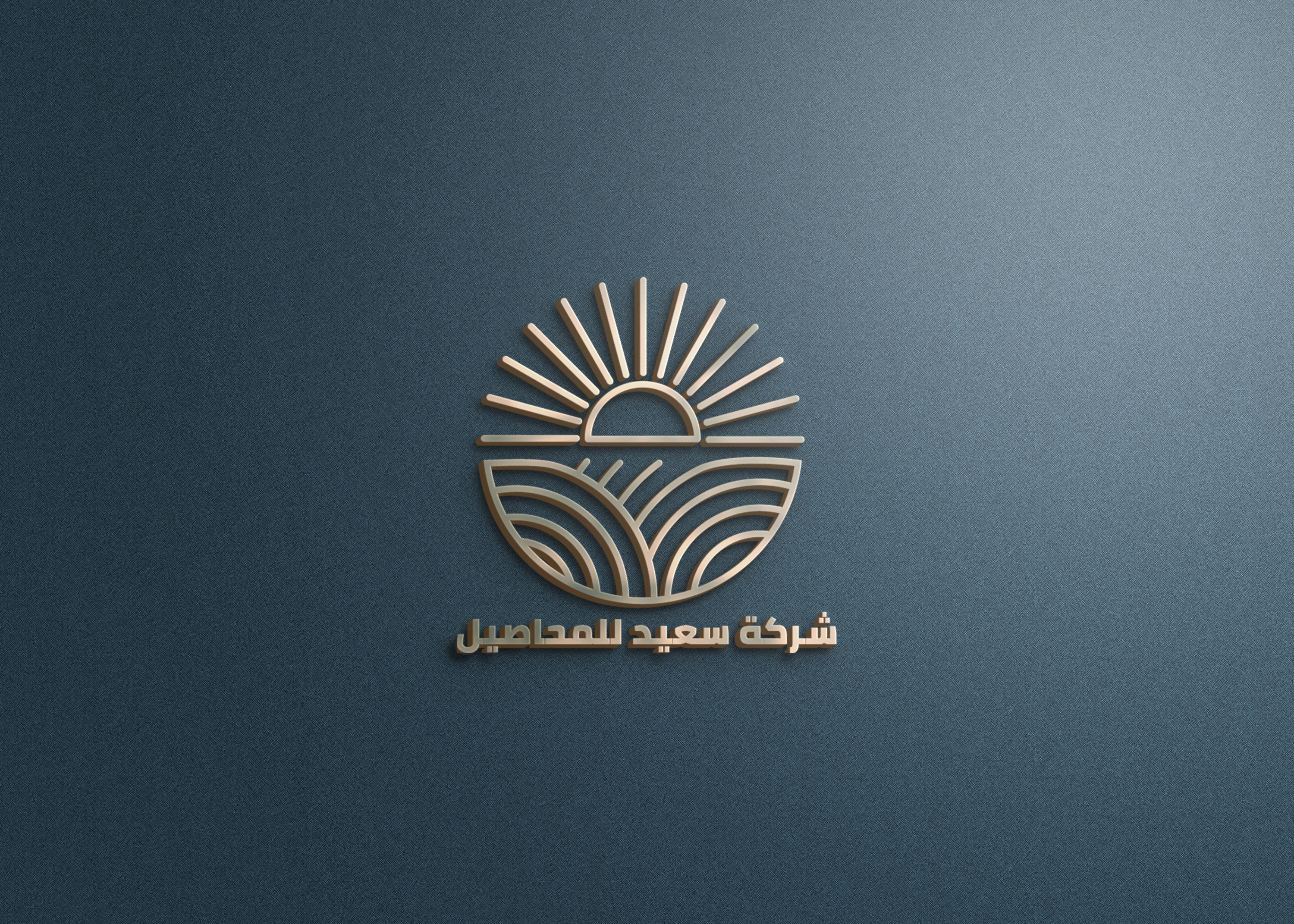 تصميم شعار احترافي