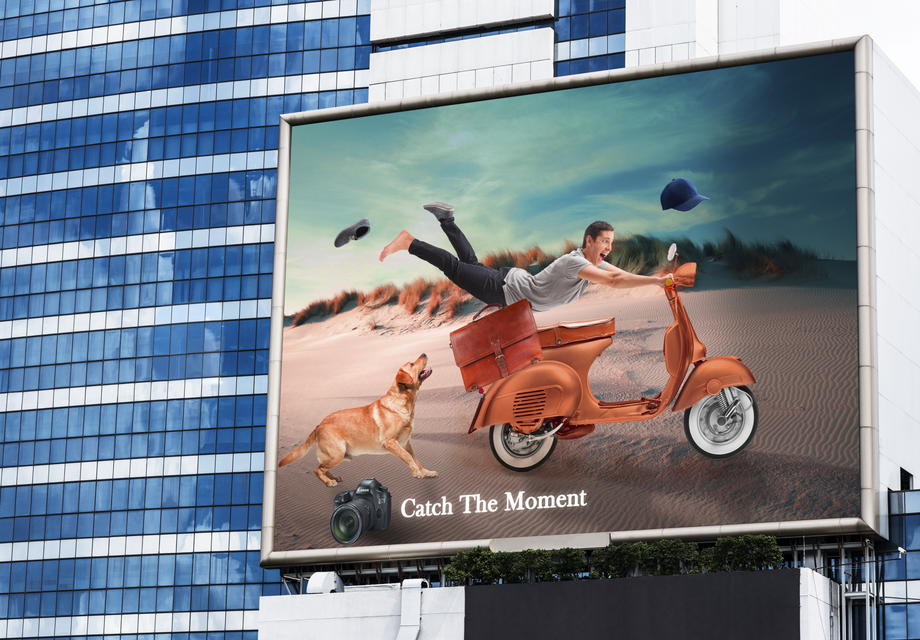 تصميم اعلانات سوشيال ميديا