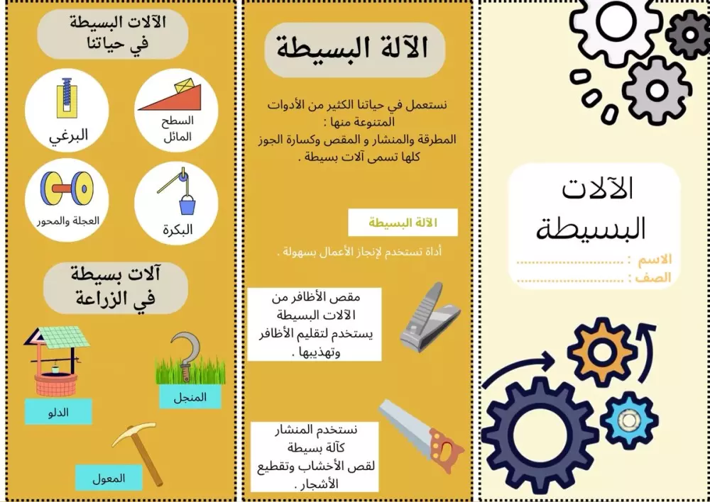 معلمة علوم ابتدائي - تبسيط، توضيح، وتدريب لكل الصفوف  الابتدائية📚🔬