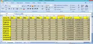 "كتابة وتنسيق احترافي على Word وExcel بدقة وسرعة وعمل نظام بمعادلات الاكسيل وإعداد التقارير الماليه"
