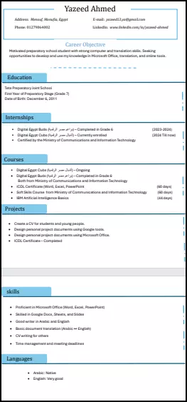 كتابة وتصميم سيرة ذاتية احترافية تناسب مجالك وتُبرز مهاراتك