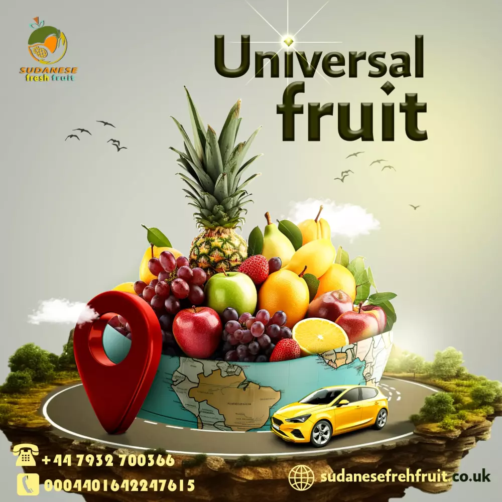 تصاميم سوشيال ميديا