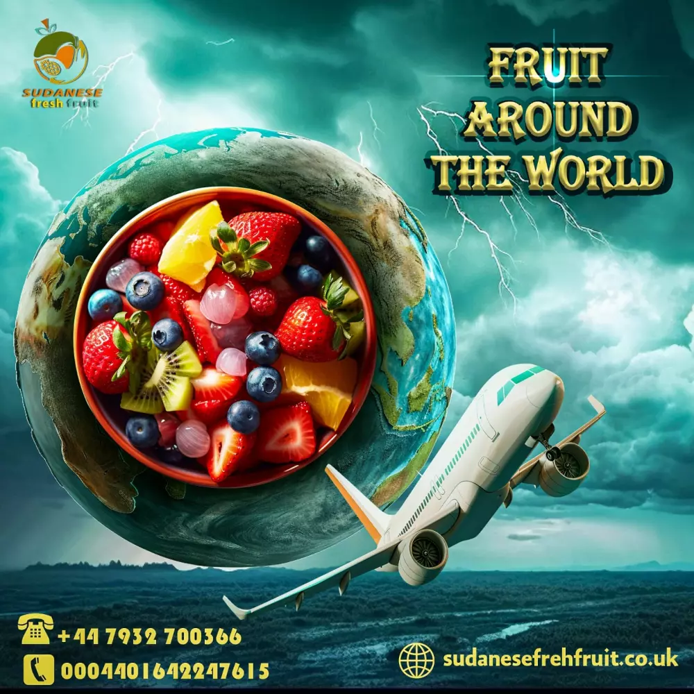 تصاميم سوشيال ميديا