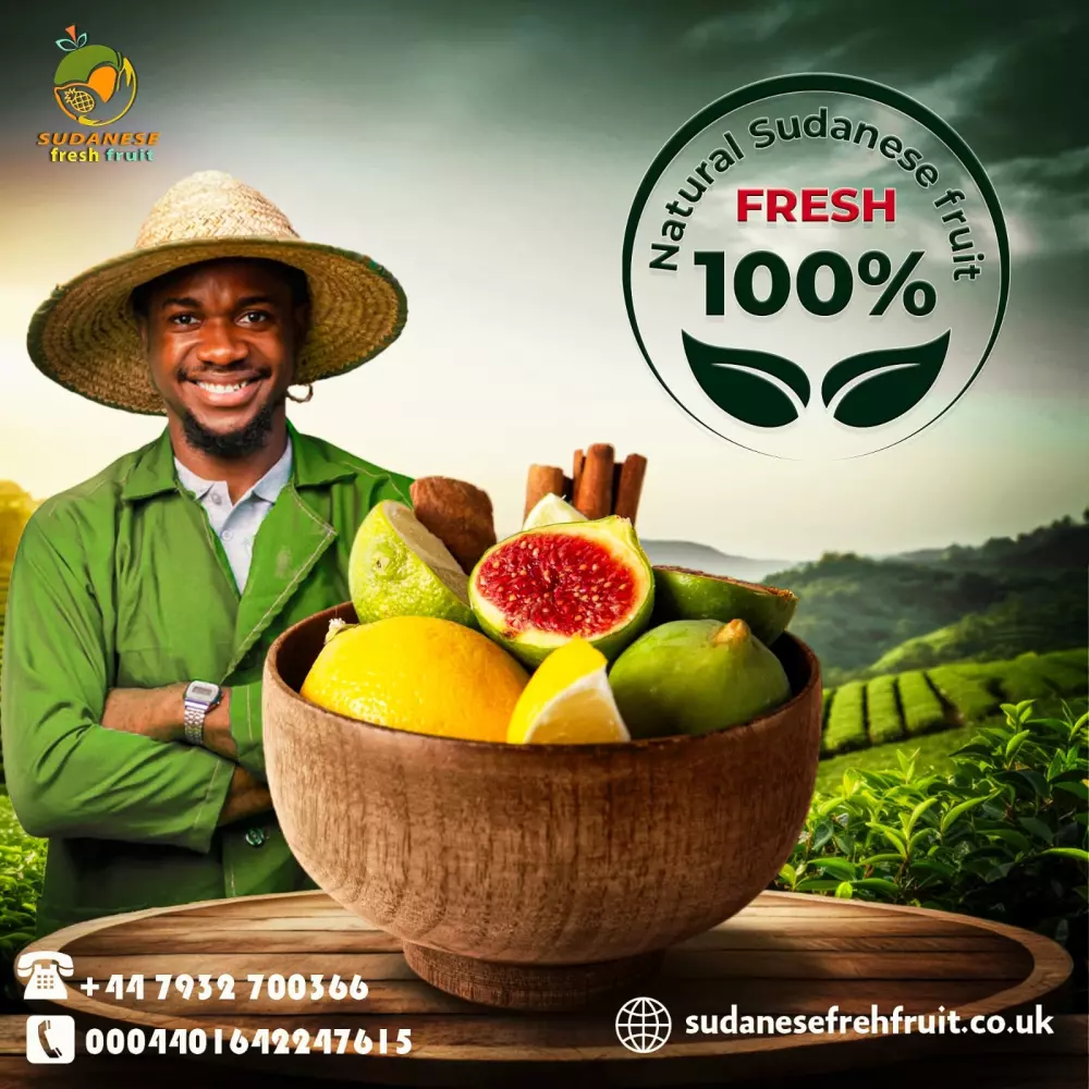 تصاميم سوشيال ميديا