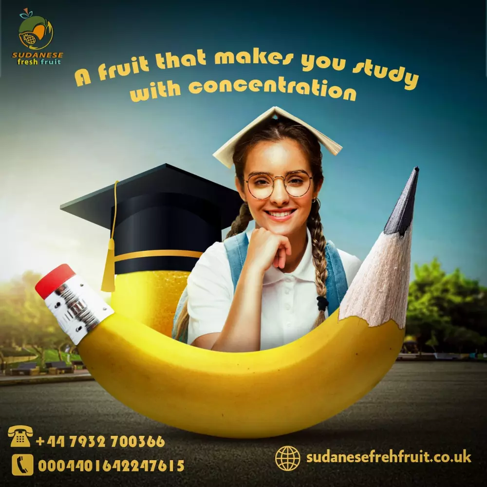 تصاميم سوشيال ميديا