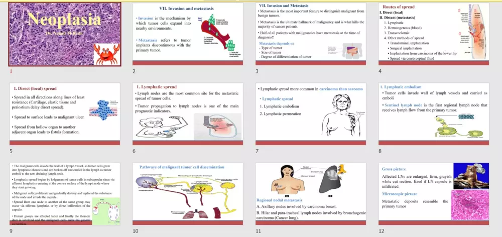 نصمّم لك عرضًا تقديميًا يعكس احترافيتك بثقة  ويعبر عنك ويحقق أهدافك