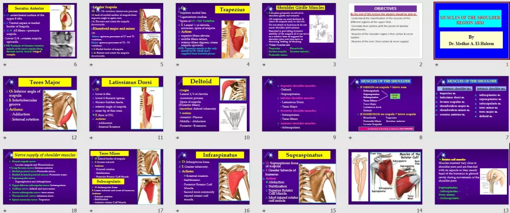 نصمّم لك عرضًا تقديميًا يعكس احترافيتك بثقة  ويعبر عنك ويحقق أهدافك