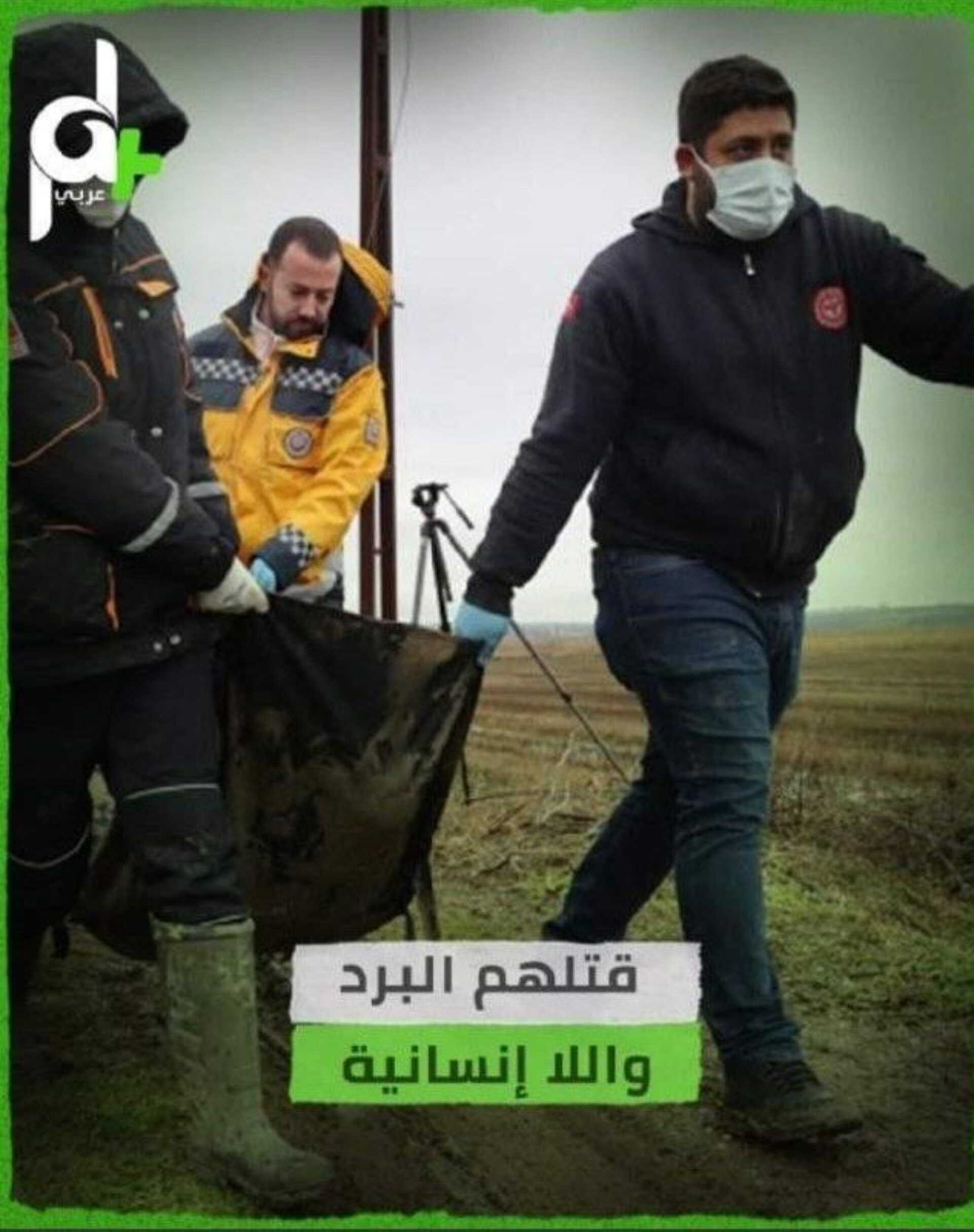 إعداد تقارير إنفو فيديو بشكل احترافي