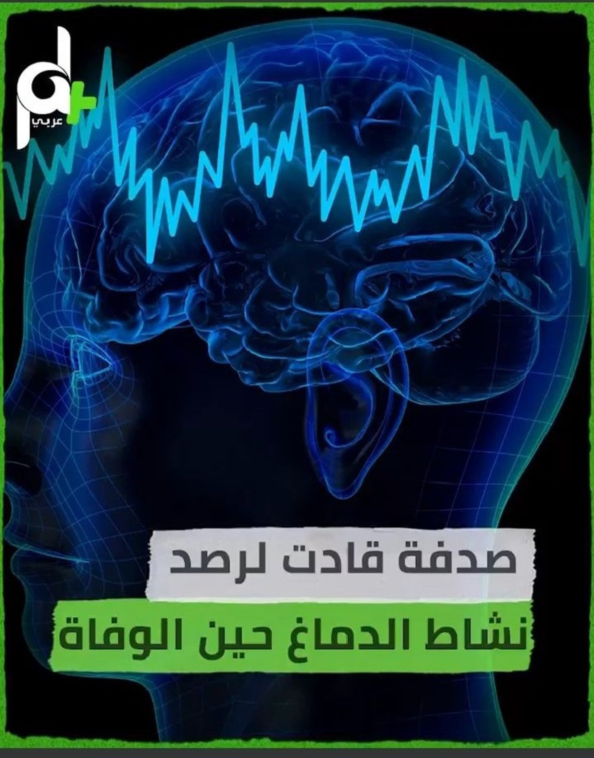 إعداد تقارير إنفو فيديو بشكل احترافي