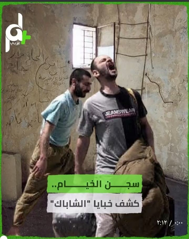 إعداد تقارير إنفو فيديو بشكل احترافي