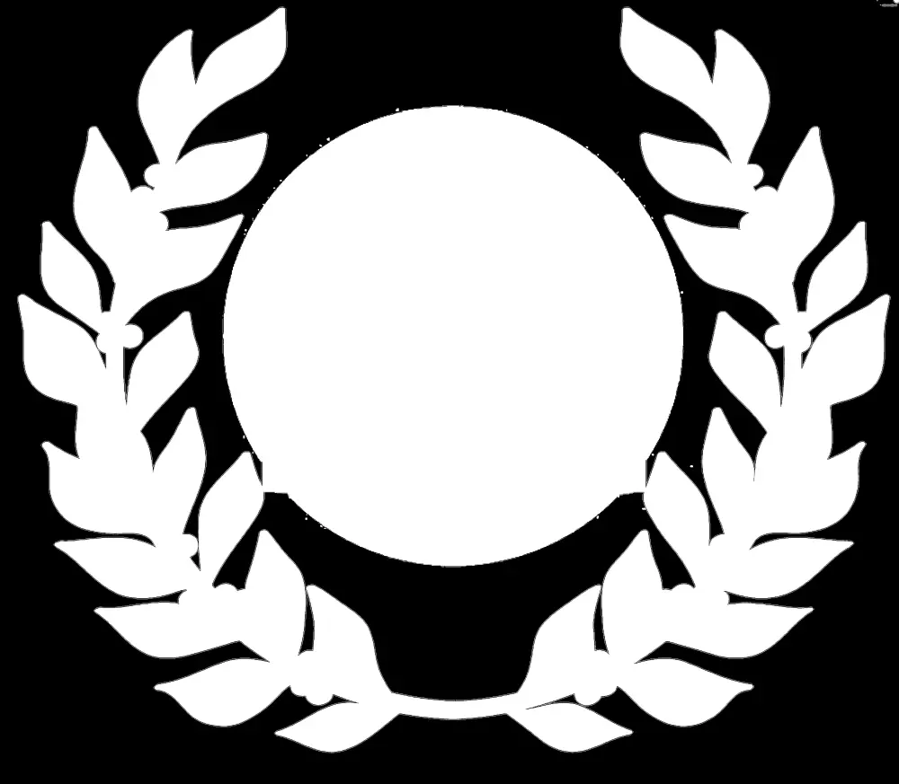 انشاء 10 لوجوهات احترافية ب 5 دولار فقط