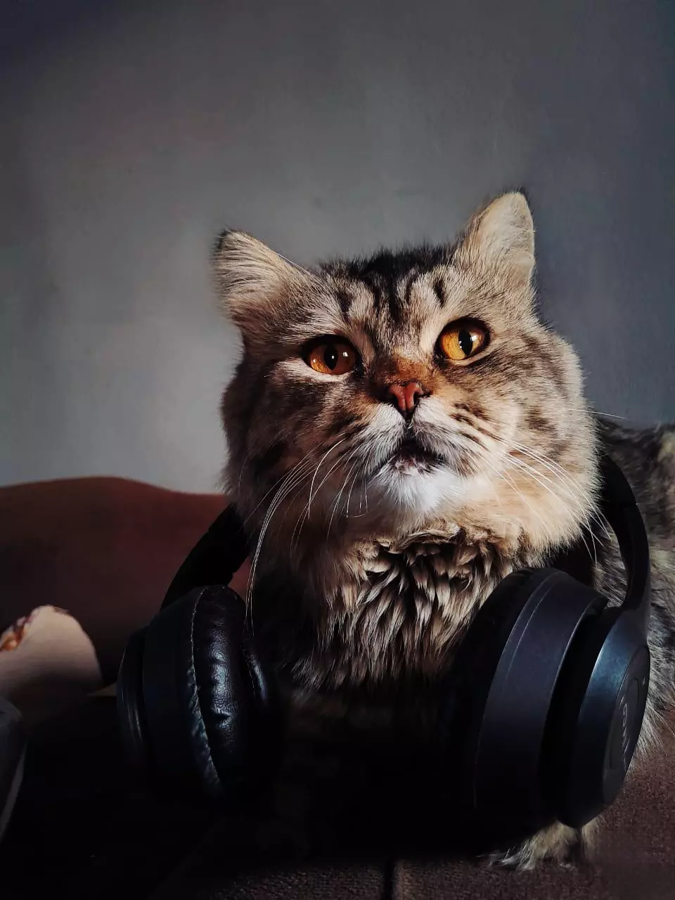 فوتوشوب احترافي