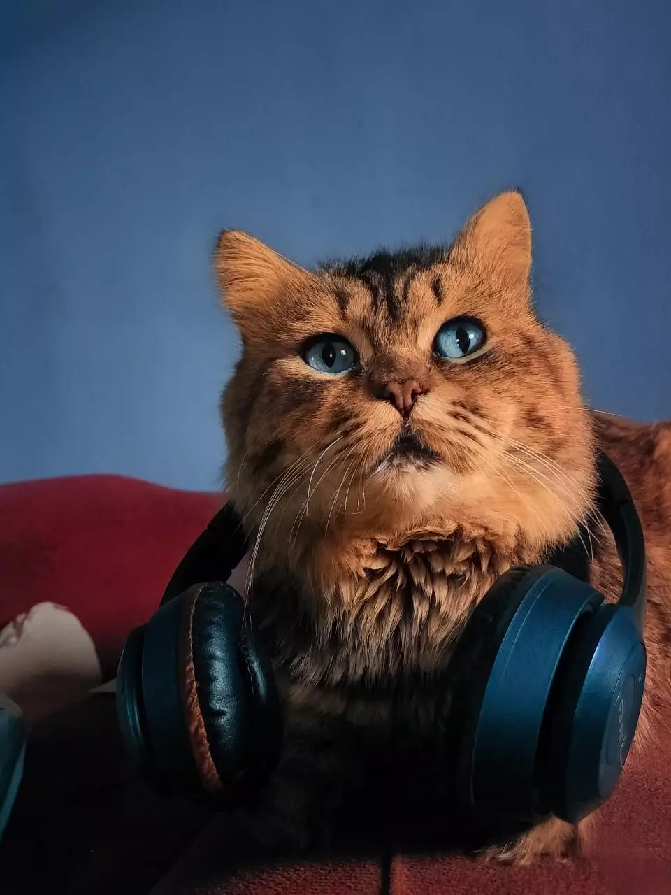 فوتوشوب احترافي