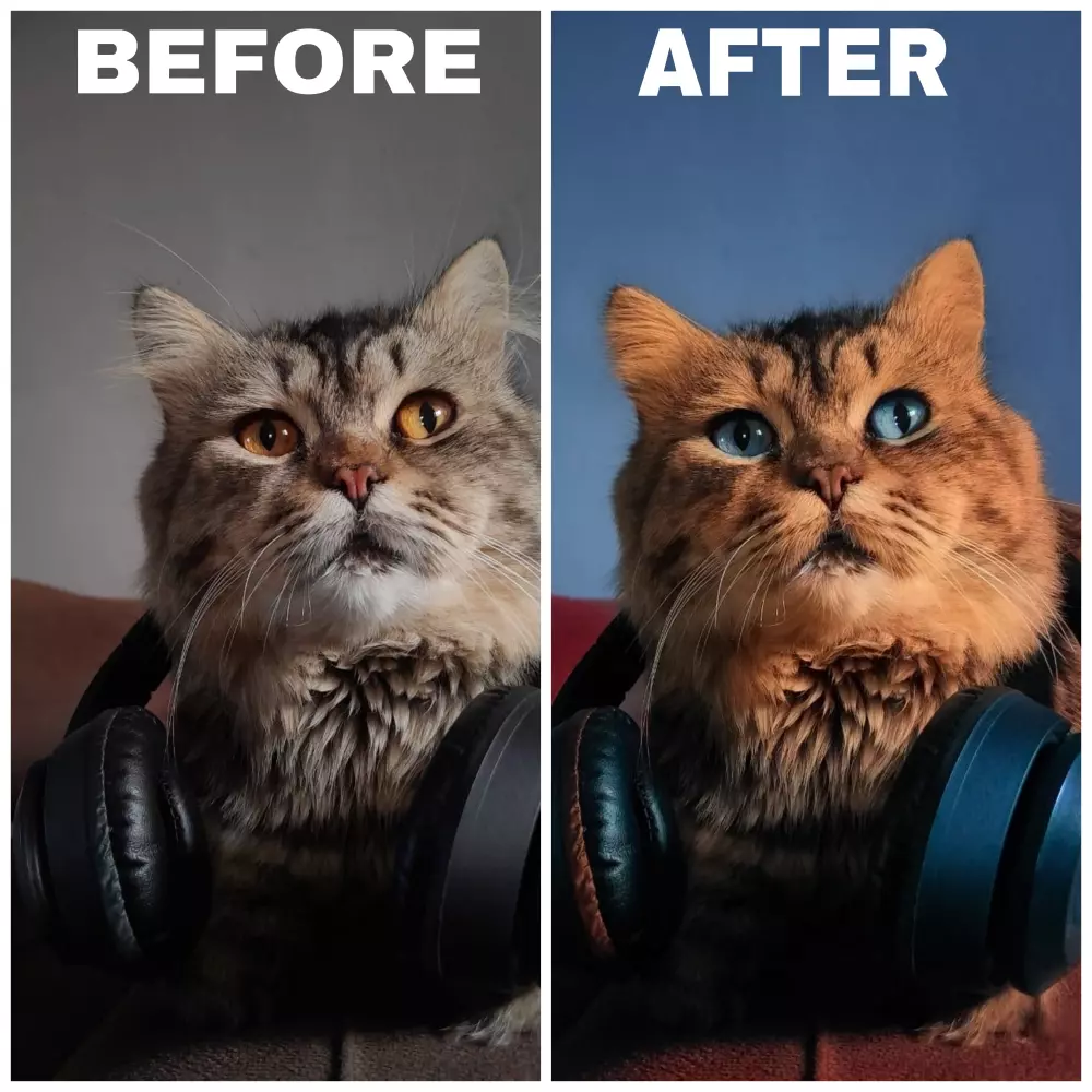 فوتوشوب احترافي