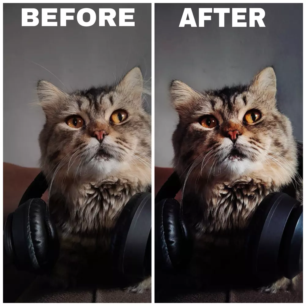 فوتوشوب احترافي