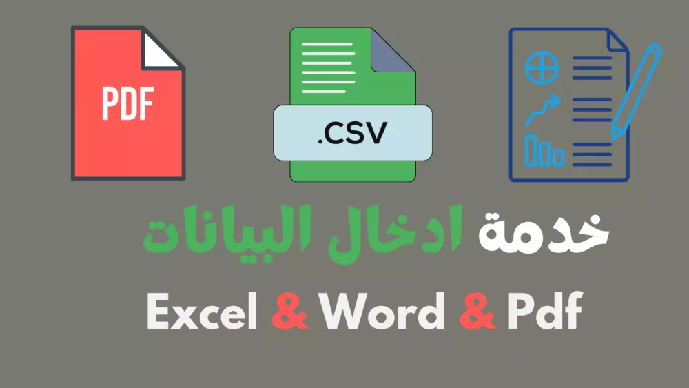 خدمة إدخال بيانات دقيقة ومنظمة باستخدام Excel وWord
