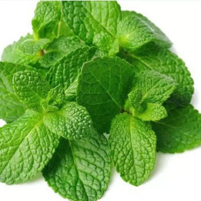 أقدم خدمه كتابه مقالات علمية مبسطة عن النباتات الطبيه باللغه العربيه تشمل الفوائد والاستخدامات والآثار الجانبيه مع الالتزام بالدقه والاسلوب السلس