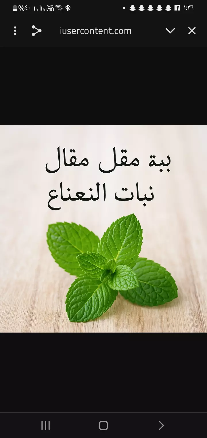 أقدم خدمه كتابه مقالات علمية مبسطة عن النباتات الطبيه باللغه العربيه تشمل الفوائد والاستخدامات والآثار الجانبيه مع الالتزام بالدقه والاسلوب السلس