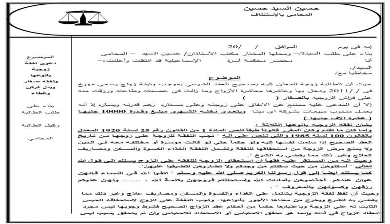 كتابة وصياغة صحف الدعاوى والاستئناف ومذكرات الطعن بالنقض