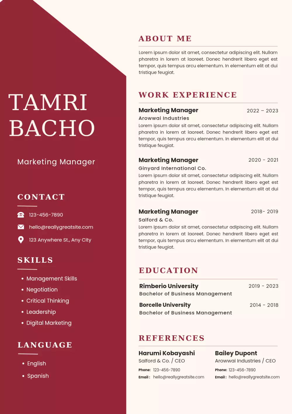 تصميم سيرة ذاتية احترافية بالعربية أو الإنجليزية