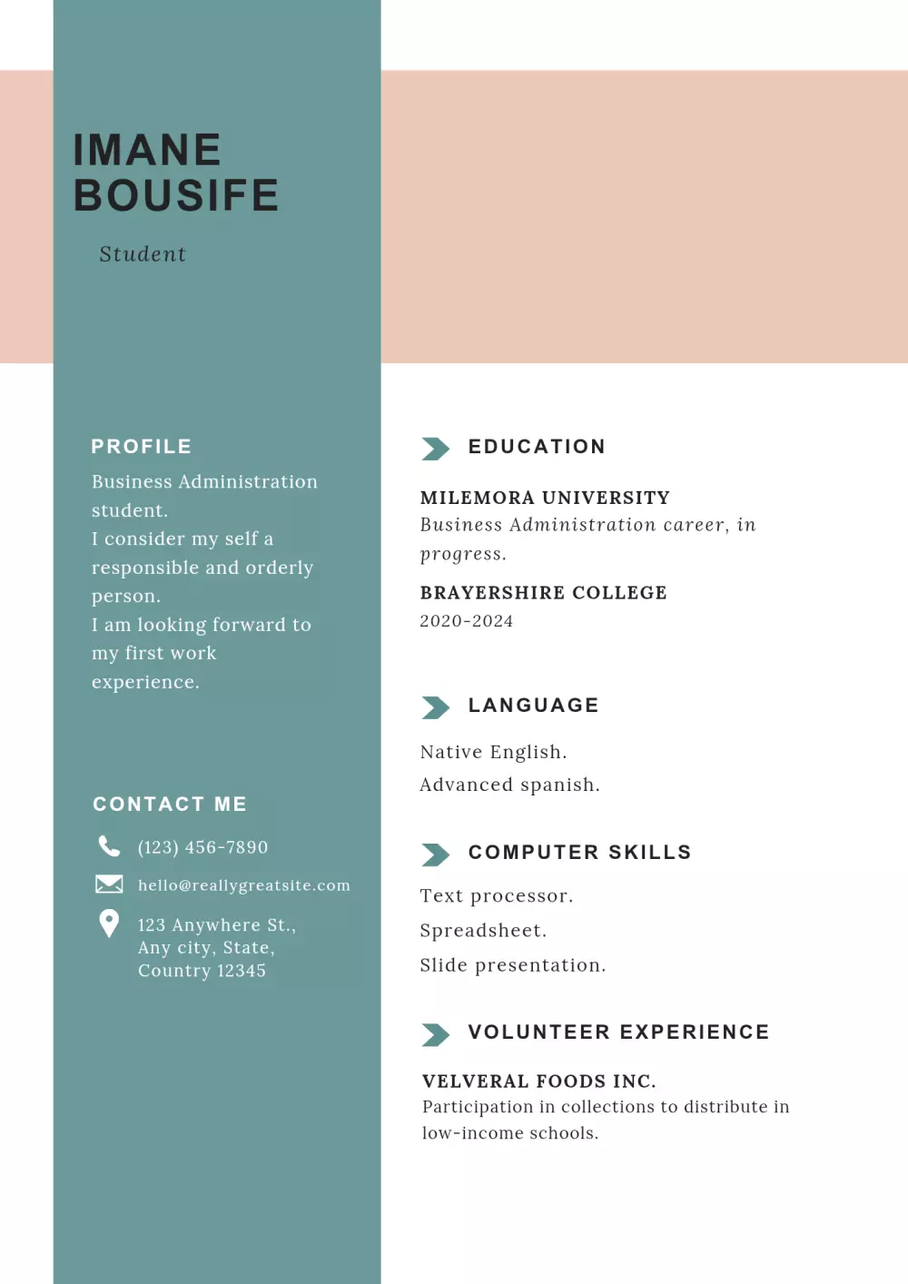 تصميم سيرة ذاتية احترافية بالعربية أو الإنجليزية