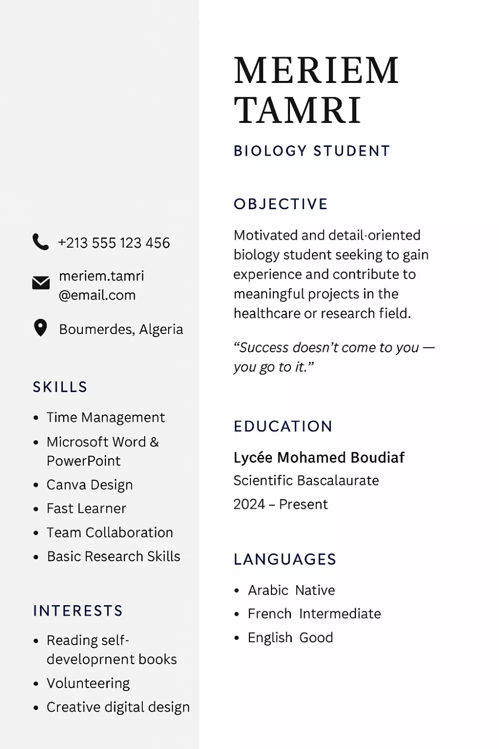 تصميم سيرة ذاتية احترافية بالعربية أو الإنجليزية