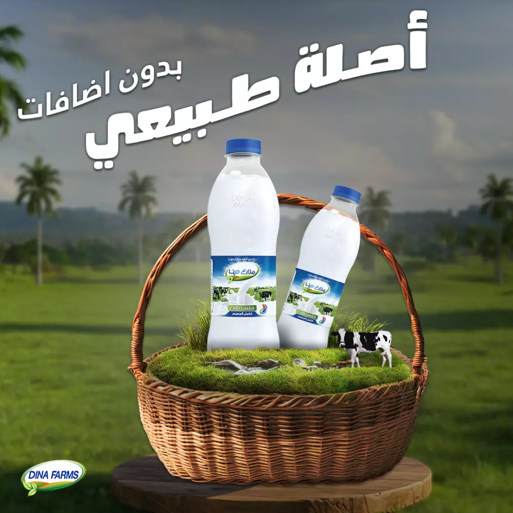 تصميم اعلانات سوشال ميديا احترافية