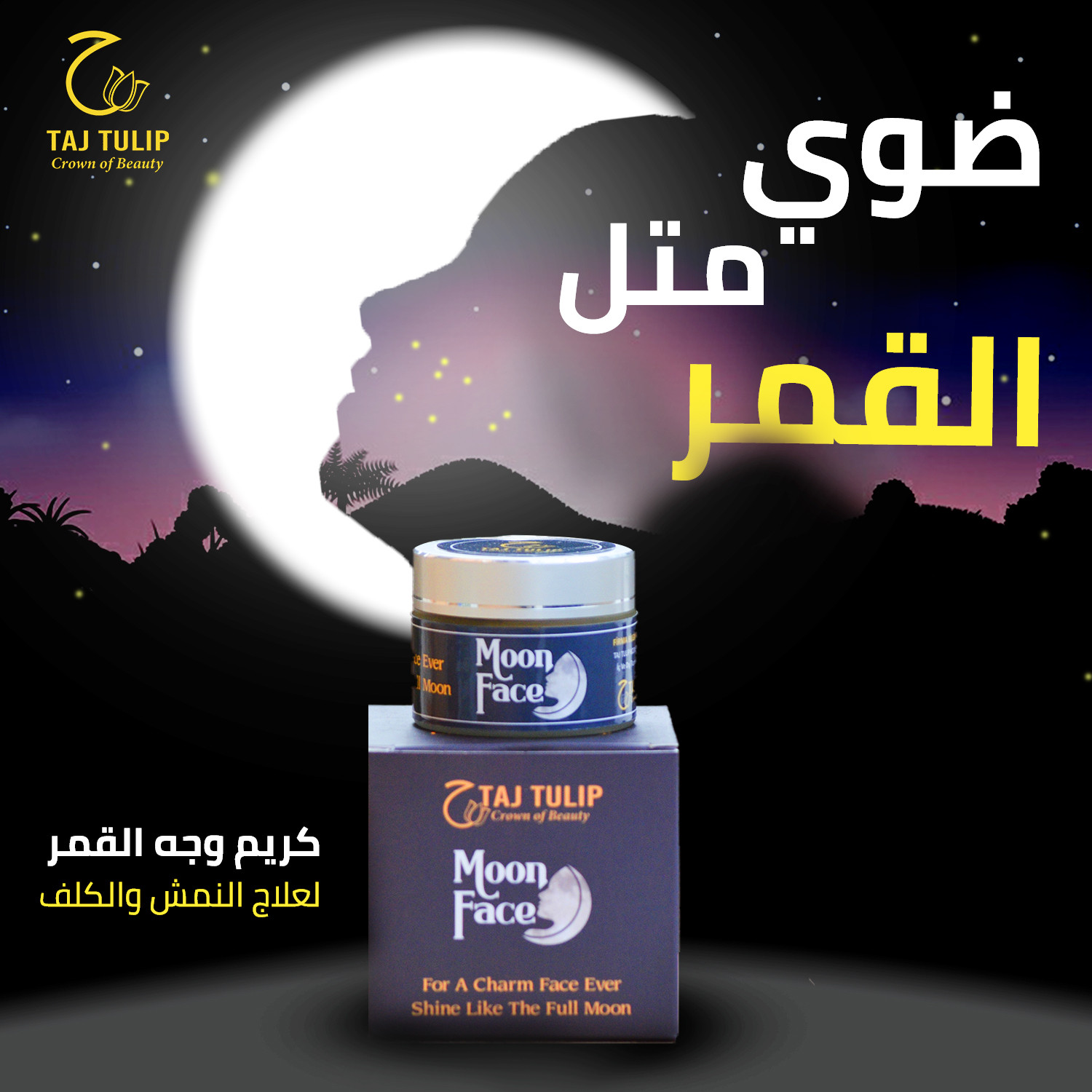 تصميم سوشيل ميديا وفق معايير عالمية