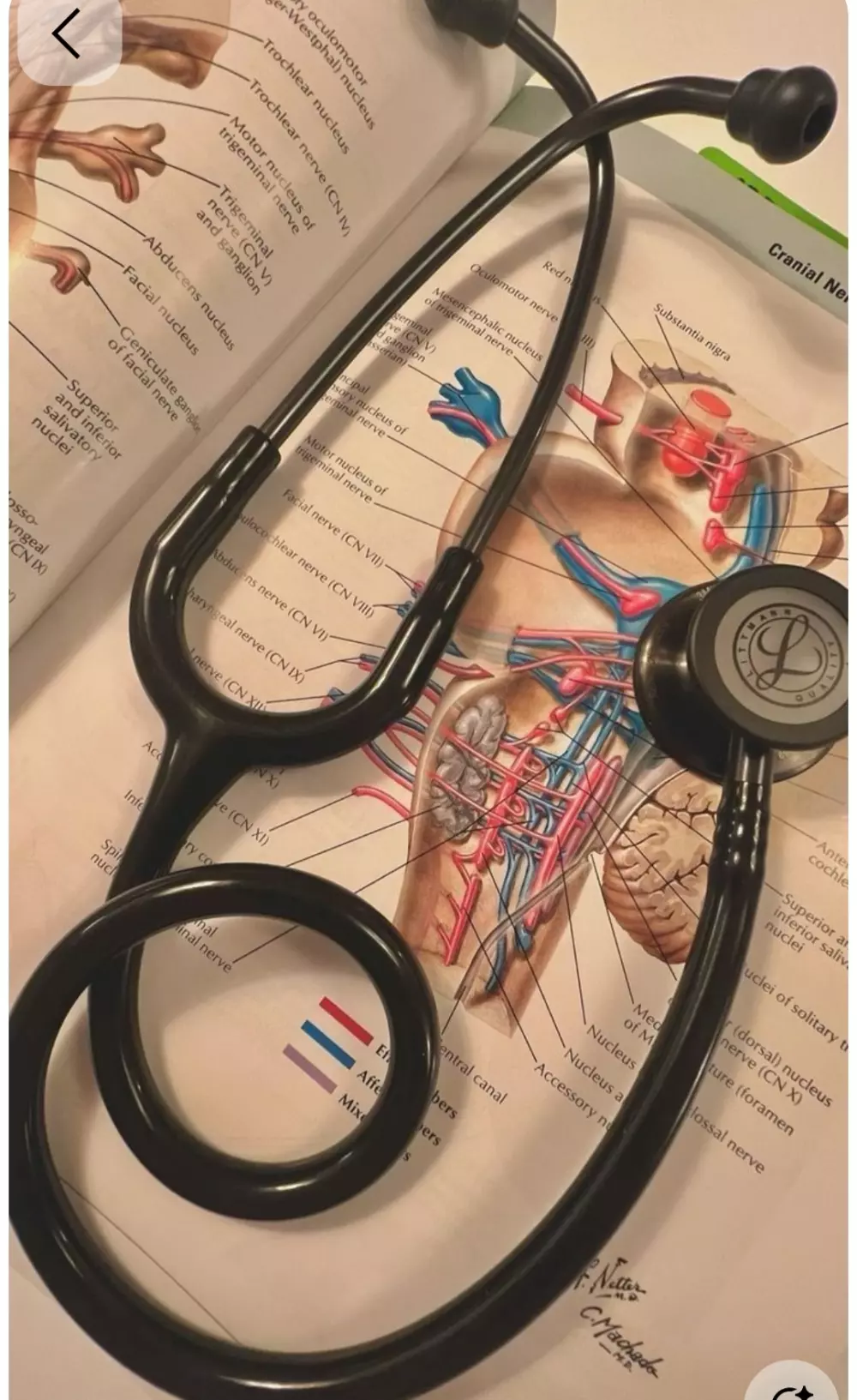 كتابة مقالات طبية واضحة وموثقة بطريقة بسيطة