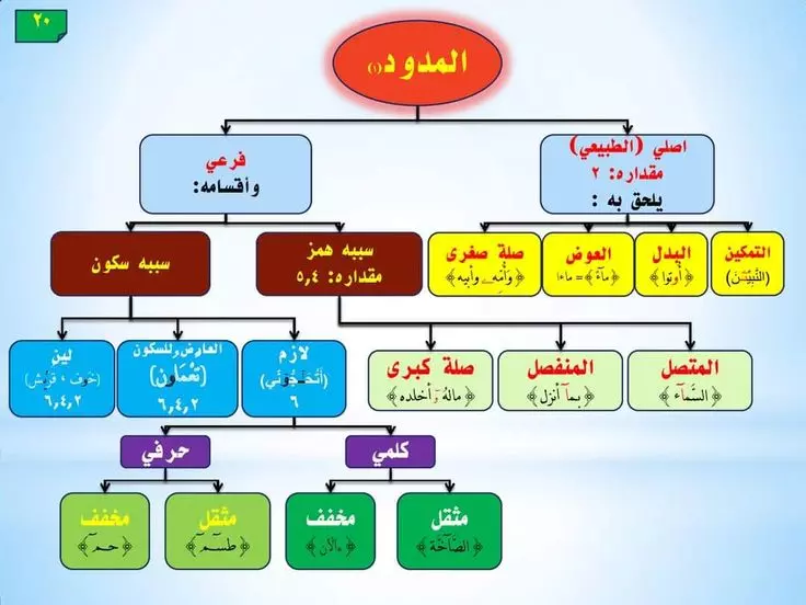 تحفيظ القرآن الكريم بالتجويد المبسط للأطفال والنساء والتفسير المختصر
