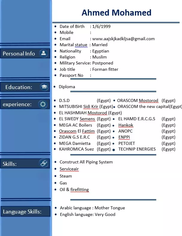 كتابة السيرة الذاتية