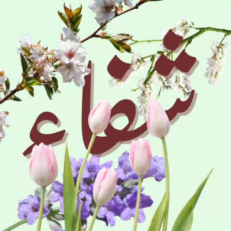 تصميم 3 شعارات بسيطة باحترافية خلال وقت قصير