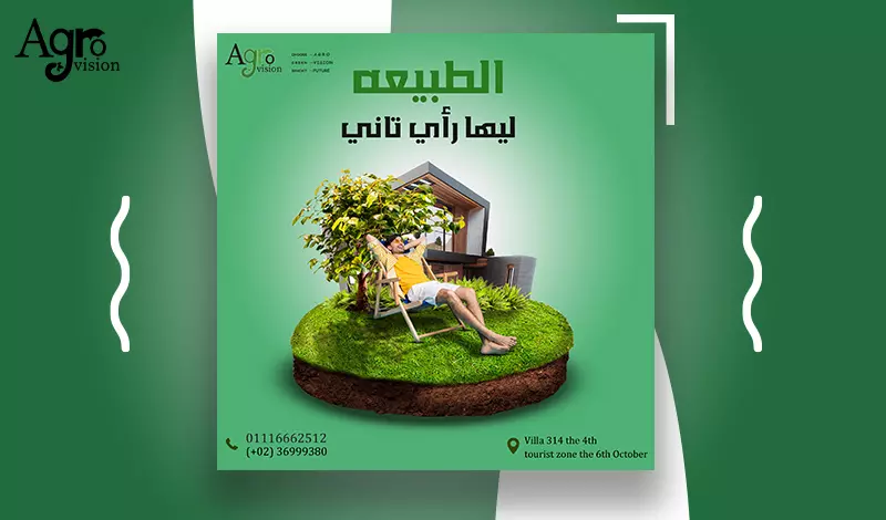 تصميمات سوشيال ميديا احترافيه social media design