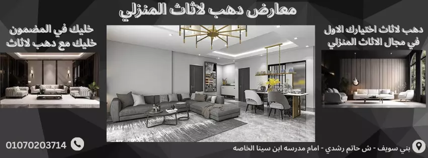 سأقوم بإنشاء وإدارة حملات إعلانية مدفوعة باحتراف على منصات (فيسبوك - إنستجرام - تيك توك - سناب شات - جوجل)