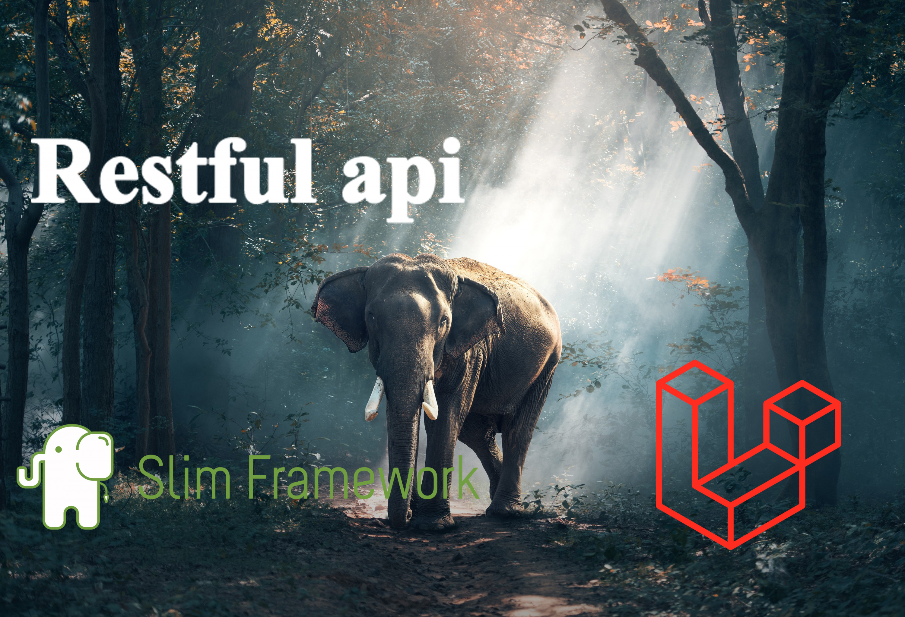نقدم خدمة إنشاء Restful Api لتطبيقك ..