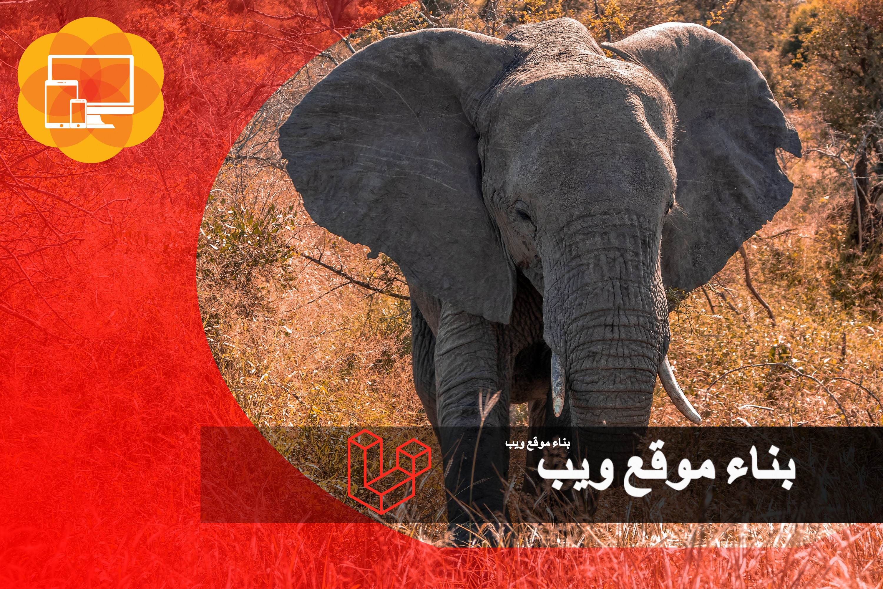 إنشاء مواقع الويب باستخدام إطار العمل لارافل .