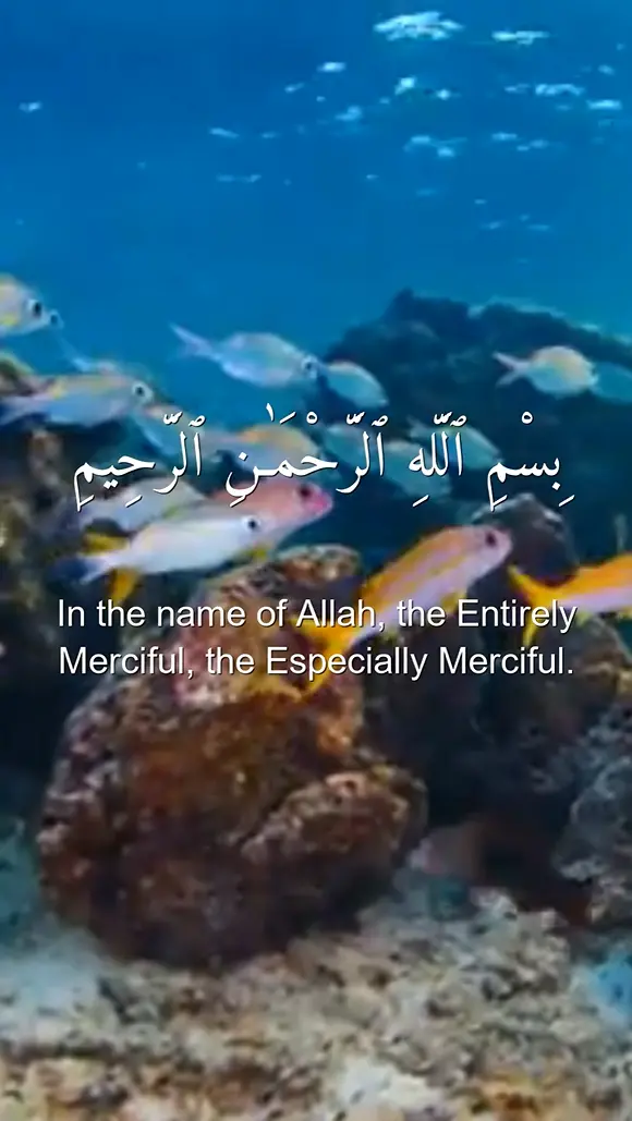 🎧 خدمتي: مكتبة ضخمة من فيديوهات القرآن الكريم القصيرة الجاهزة للنشر ✨