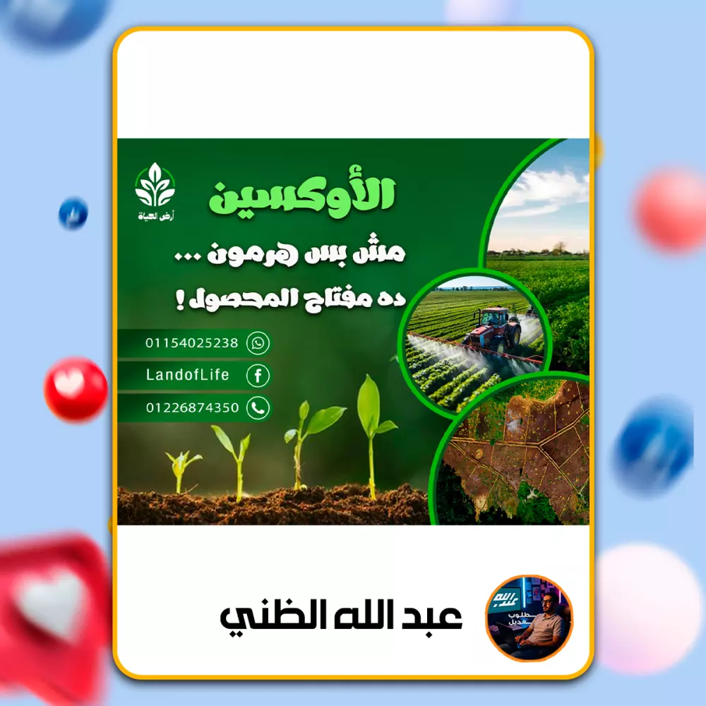 تصميم  3 منشورات سوشيال ميديا احترافية متوافقة مع هوية مشروعك