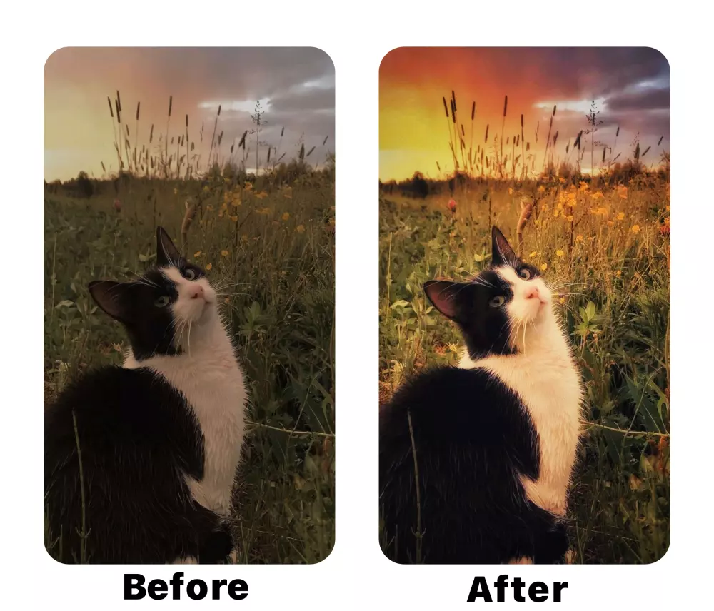 تعديل الصور