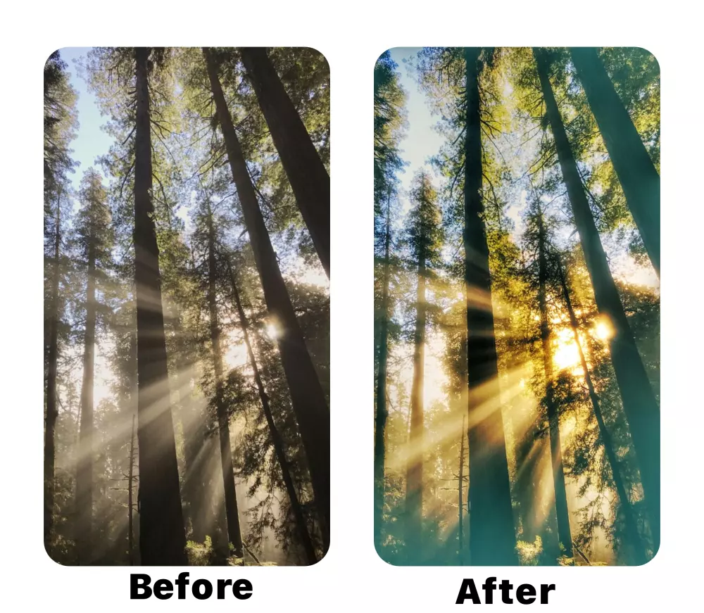 تعديل الصور