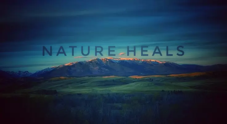 تعديل الصور