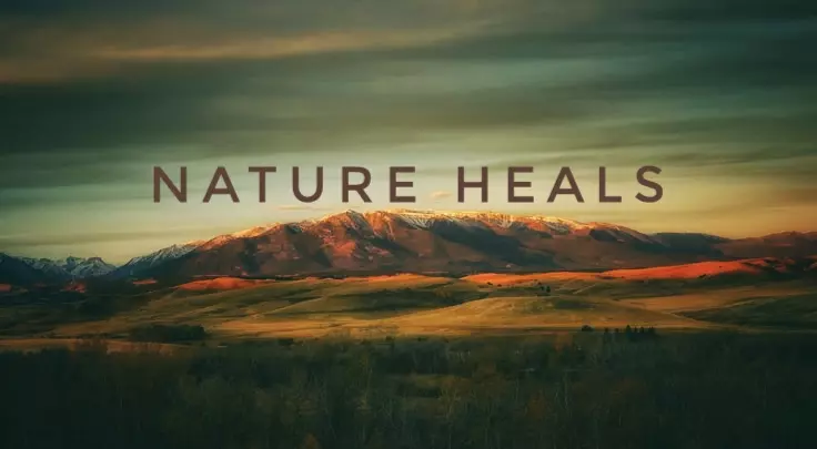 تعديل الصور