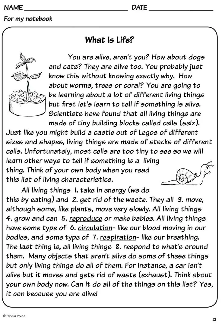 كتابة مقالات أو أبحاث باللغة العربية بشكل احترافي وعصري  ومنسق