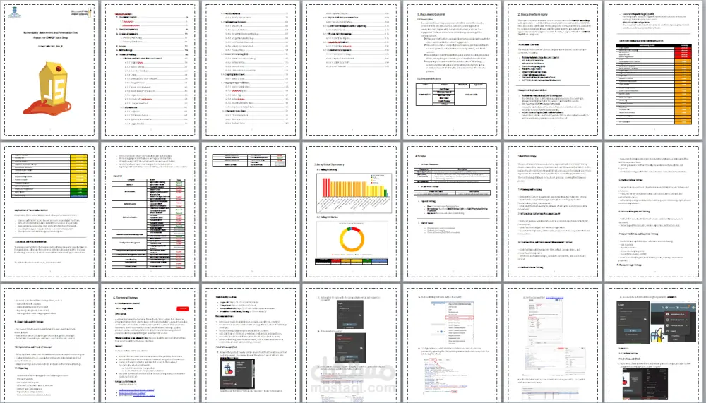 اختبار اختراق لتطبيقات الويب وتقديم ريبورت مفصل بالثغرات الموجودة