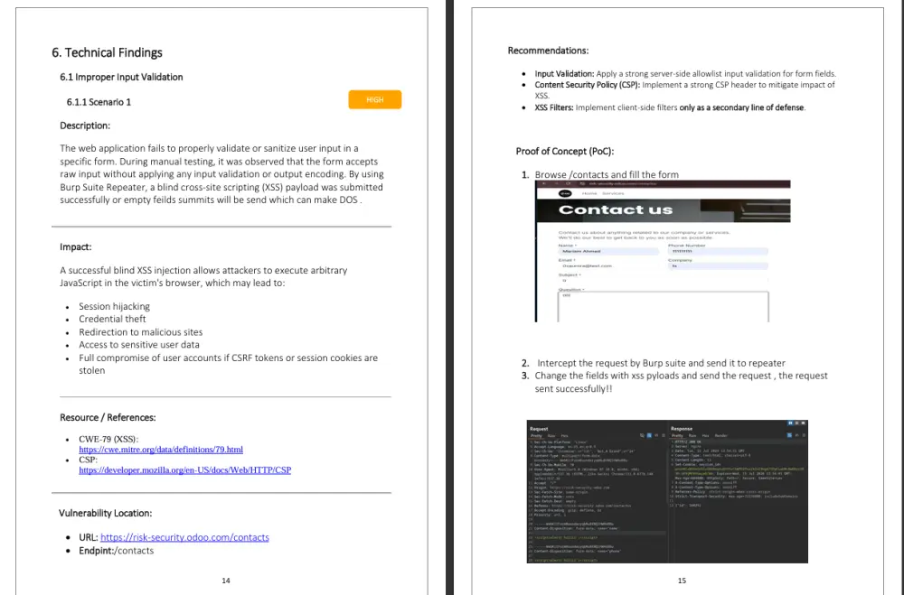 اختبار اختراق لتطبيقات الويب وتقديم ريبورت مفصل بالثغرات الموجودة