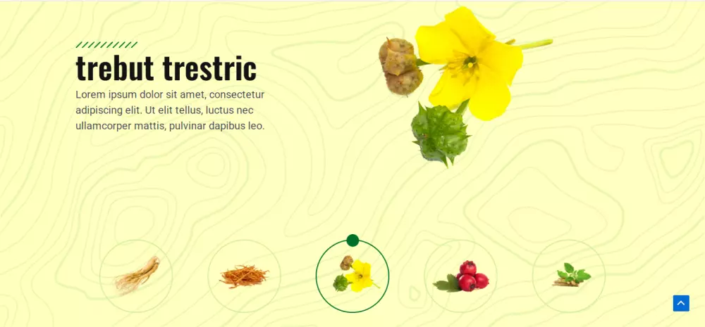 انشاء و تصميم موقع ووردبريس احترافي متجاوب مع جميع الاجهزة